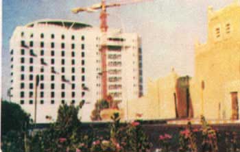 l1.jpg