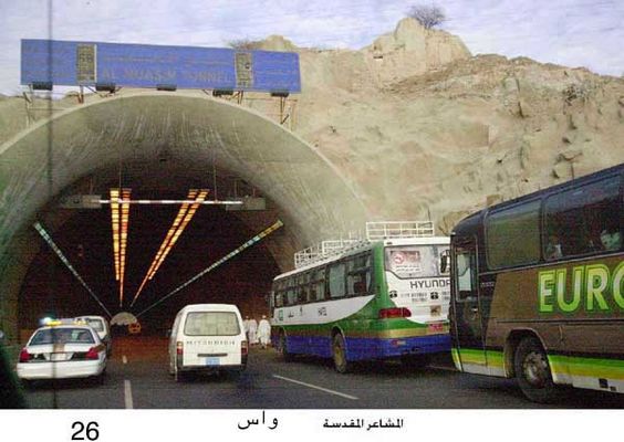 7841_26.jpg