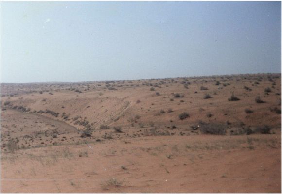 Nofoud.jpg