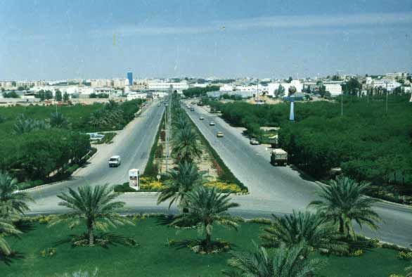 d1132.jpg