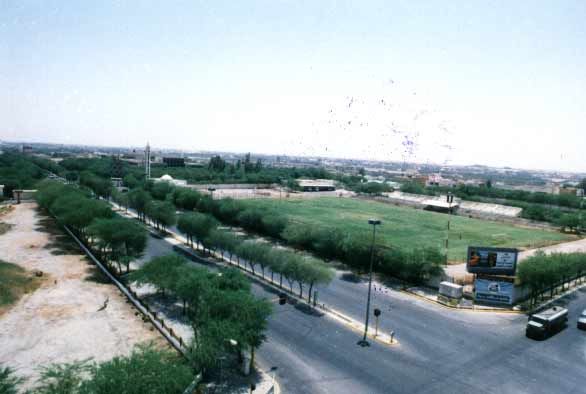f123.jpg