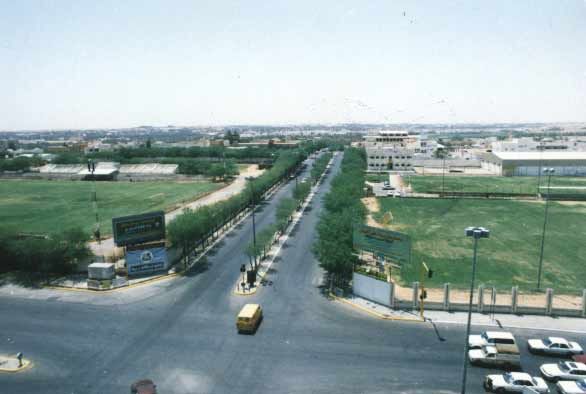 g156.jpg