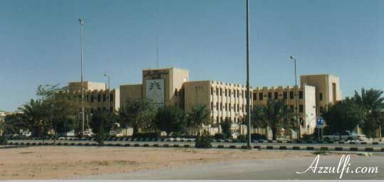 ms7.jpg