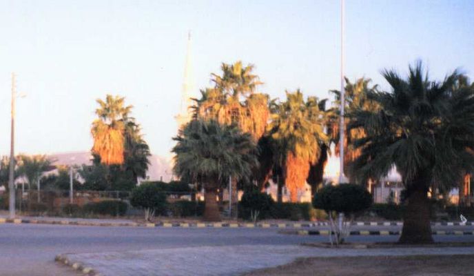 park2.jpg