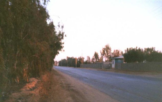 road.jpg
