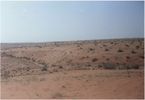 Nofoud.jpg
