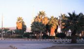 park2.jpg