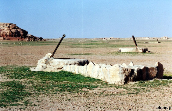 mark10.jpg