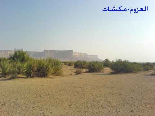 mk706320018.jpg