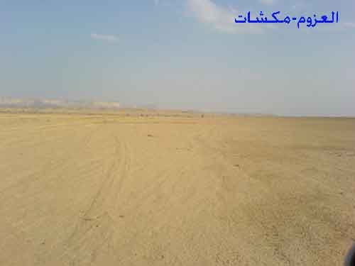 mk706320019.jpg