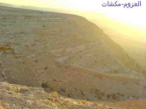 mk7063_20024.jpg
