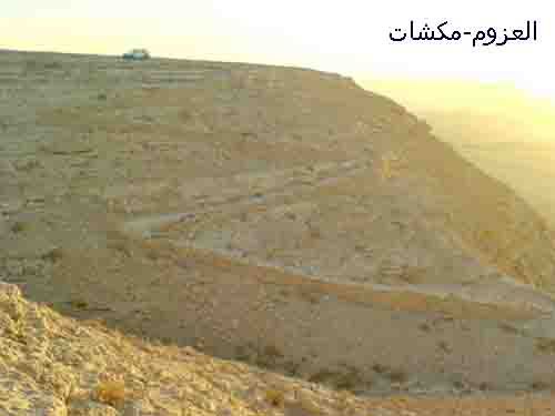 mk7063_20028.jpg