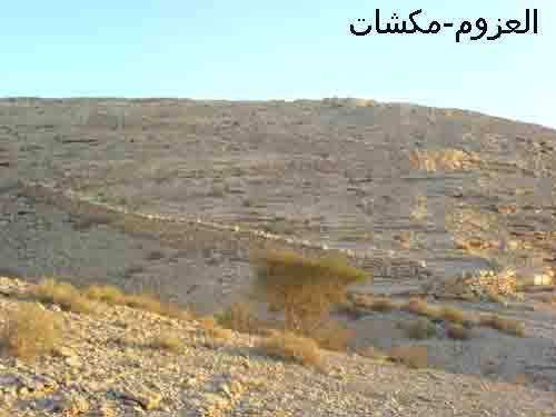mk7063_20029.jpg