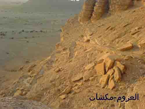 mk7063_20035.jpg