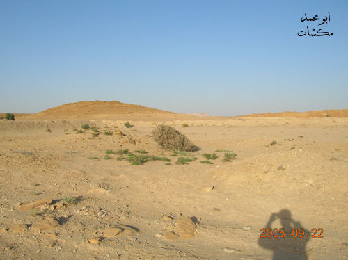 mk7278_dscn0215.jpg