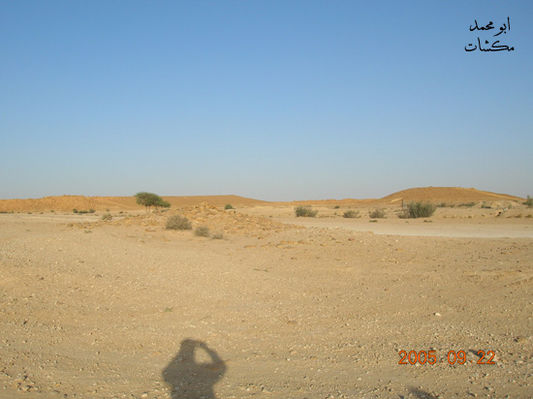 mk7278_dscn0219.jpg
