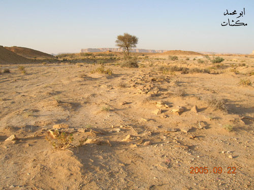 mk7278_dscn0220.jpg