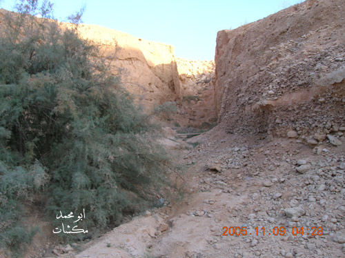 mk7278_dscn0393.jpg