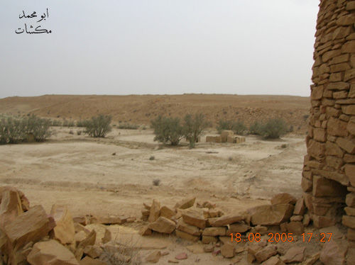 mk7278_th21.jpg