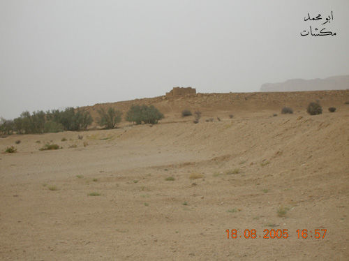 mk7278_th3.jpg