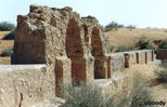 mark06.jpg