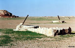mark10.jpg