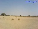 اسم الصورة=mk706320006.jpg
حجم الملف=24كيلوبايت
الأبعاد=500x375
تاريخ الإضافة=%310 %07, %2006 mk706320006.jpg