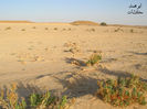 mk7278_dscn0216.jpg