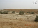 mk7278_th19.jpg