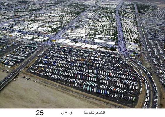 7840_25.jpg
