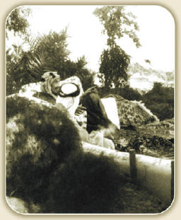 page003.jpg
