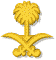 saudilogo.gif