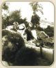 page003.jpg