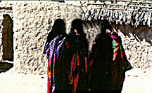 11_54.jpg