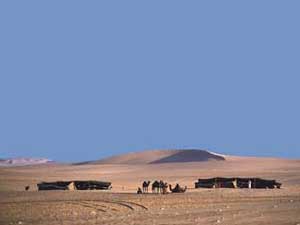 eigeland_16_943.jpg