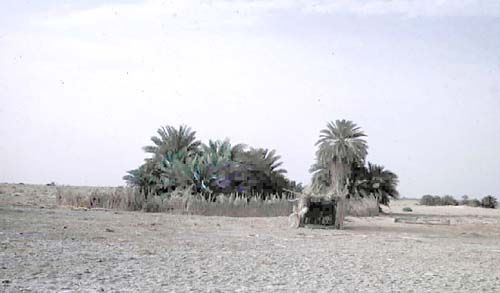 1948_March_30_Well_near_JabrinJJ.jpg