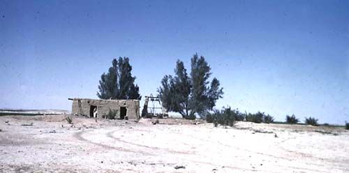 1948_Oasis_with_house_and_dog_J.jpg