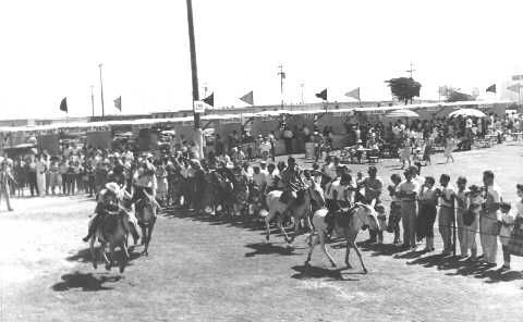 55-011.jpg
