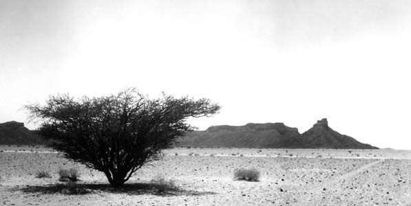 HadHfa.jpg