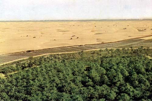 WP_1Sand.jpg