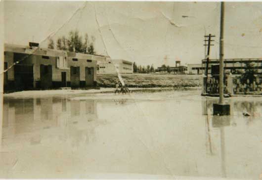 i1123.jpg