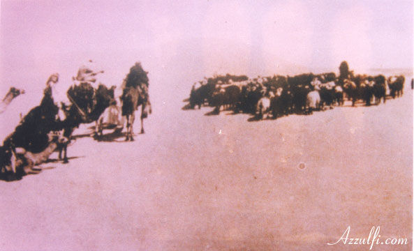 ms4.jpg