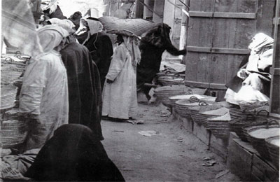 ممر بسوق الغرب
سوق غرب قصر الحكم
الكلمات الإستدلالية(لتسهيل البحث): سوق غرب قصر الحكم