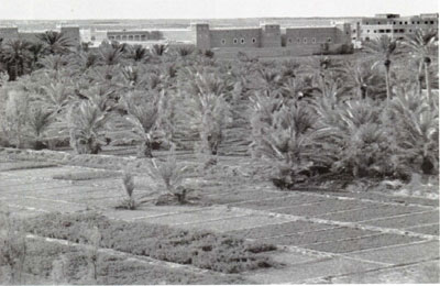 بساتين السويدي في الرياض
بساتين السويدي في الرياض
الكلمات الإستدلالية(لتسهيل البحث): بساتين السويدي في الرياض