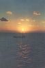 WP_1Sun.jpg