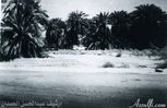 اسم الصورة=ms9.jpg
حجم الملف=31كيلوبايت
الأبعاد=528x343
تاريخ الإضافة=%441 %05, %2006 ms9.jpg