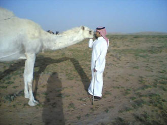 5c03f62.jpg