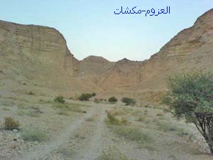 mk7063_10.jpg
