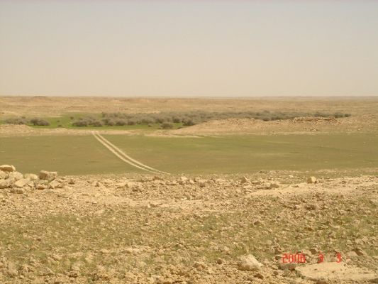 03219fd66d.jpg
