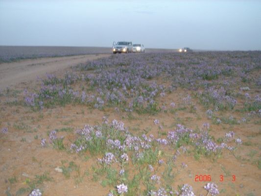 071b44e693.jpg